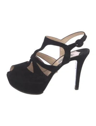 Pre-owned Prada Suede Pumps In Black