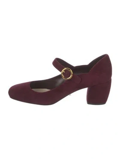Pre-owned Prada Suede Pumps W/ Tags In Burgundy
