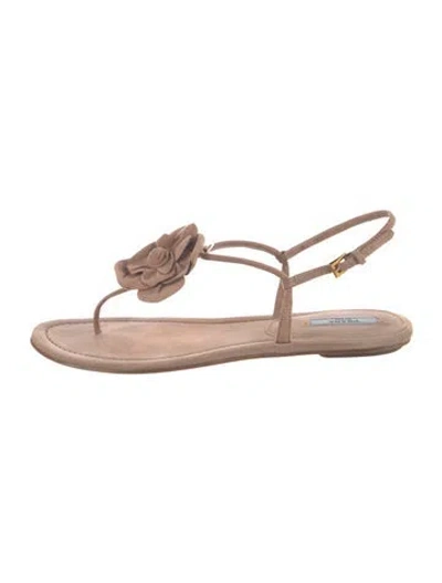 Pre-owned Prada Suede Sandals In Neutrals