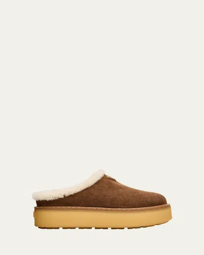 Prada Brown Suede Mules With Shearling Trim And Plush Lining In Blue
