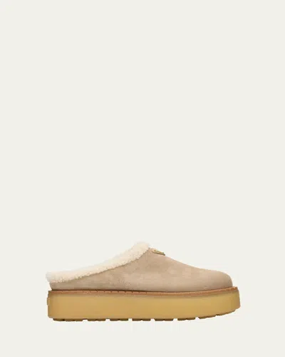 Prada Suede Shearling Cozy Platform Mules In Neutral