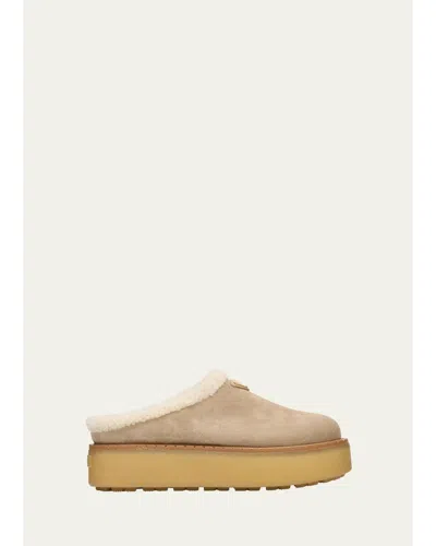 Prada Suede Shearling Cozy Platform Mules In Animal Print