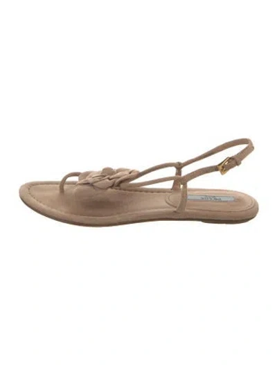 Pre-owned Prada Suede Slingback Flats In Neutral