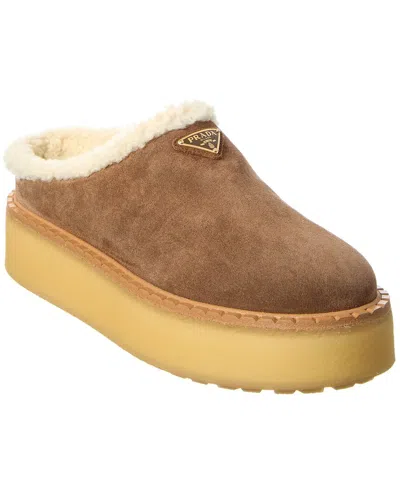 Prada Suede Slipper In Brown