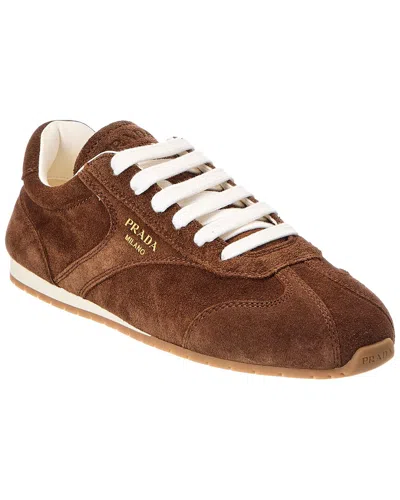Prada Cocoa-coloured Sneakers In Suede Leather In Brown