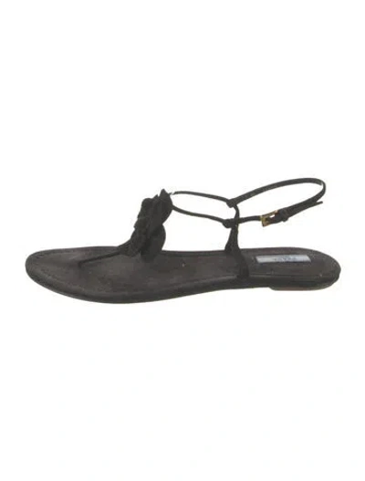 Pre-owned Prada Suede T-strap Sandals In Black