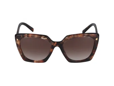 Prada Sunglasses In Caramel Tartarugato