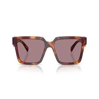 Prada Full Frame Sunglasses In Marrone/marrone