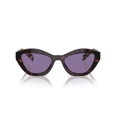 Prada Womens Brown Pr A02s Butterfly-frame Acetate Sunglasses In Black