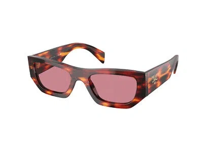 Pre-owned Prada Sunglasses Pr A01s 13o80b Havana Violet Men Women