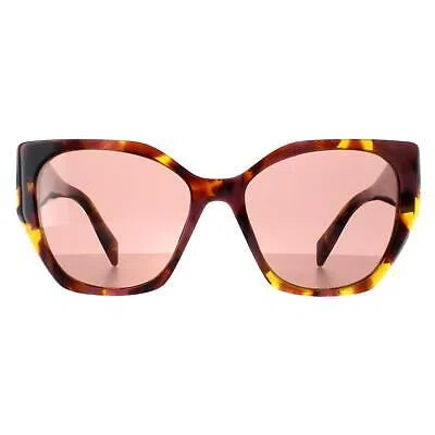 Pre-owned Prada Sunglasses Pr19zs 18n10d Tortoise Cognac Begonia Light Brown