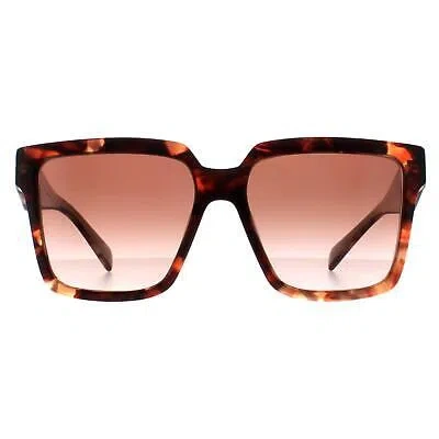 Pre-owned Prada Sunglasses Pr24zs 07r0a6 Caramel Tortoise Beige Brown Gradient