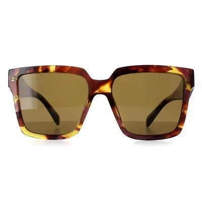 Pre-owned Prada Sunglasses Pr24zs 18n01t Tortoise Cognac Begonia Dark Brown