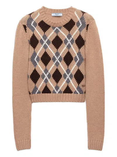 Prada Crew Neck Sweater In Brown
