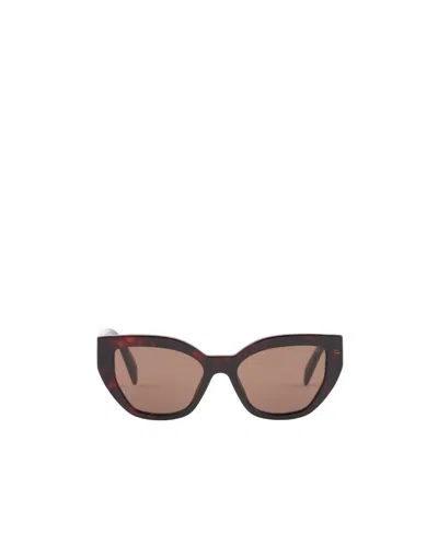 Prada Pr A09s Acetate Cate Eye Sunglasses In Black