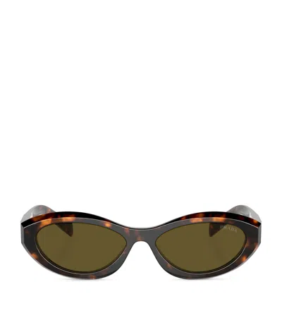 Prada Catwalk Cat-eye Acetate Sunglasses In Havana,green
