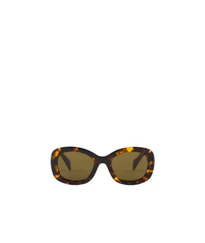 Prada Womens Yellow Pr A13s Butterfly-frame Acetate Sunglasses In Brown