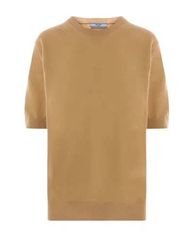 Prada Round-neck Short-sleeved Cashmere Jumper In Brown