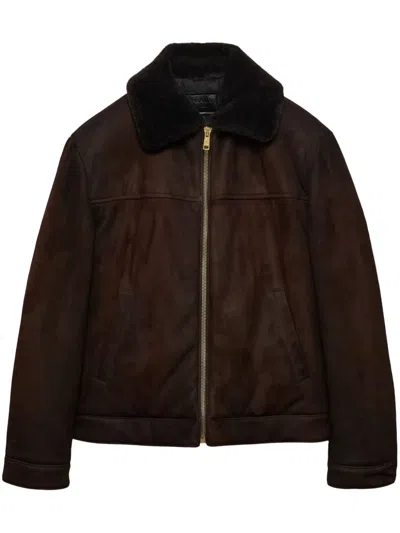 Prada Triangle-logo Leather Bomber Jacket In Braun