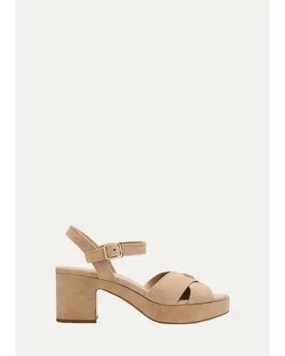 Prada Triangle Suede Platform Sandals In F0036 Sabb
