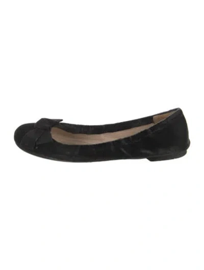 Pre-owned Prada Velvet Bow Accents Ballet Flats In Black