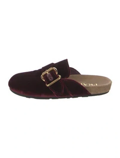 Pre-owned Prada Velvet Mules In Burgundy