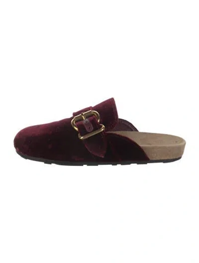 Pre-owned Prada Velvet Mules In Burgundy
