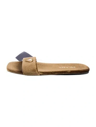 Pre-owned Prada Velvet Slides In Brown
