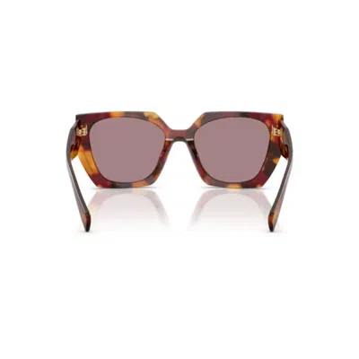 Prada Violet Butterfly Ladies Sunglasses Pr 15ws 22a20i 54 In Brown