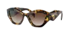Prada Women's Sunglasses Pr 07ys In Brown Gradient