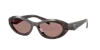 Prada Womens Brown Pr 26zs Oval-frame Acetate Sunglasses In Light Brown
