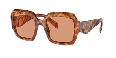 Prada Woman Sunglass Pr 28zs In Brown