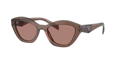 Prada Woman Sunglass Pr A02s In Brown