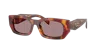 Prada Acetate Prb05s Sunglasses In Light Purple Brown