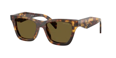 Prada Woman Sunglasses Pr C07sf In Brown