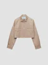 Prada Chino Blouson Jacket In Brown