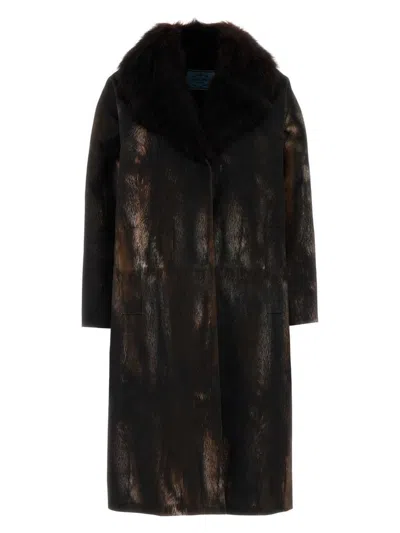 Prada Women's Cotton Coat