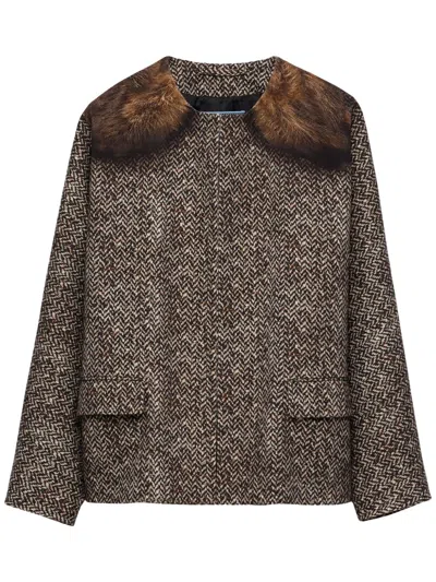 Prada Women Cotton Single-breasted Caban Jacket In Multicolor