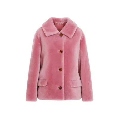 Prada Shearling Jacket In Pink & Purple