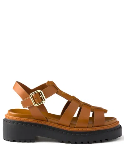 Prada Women Leather Cage Sandals In Brown