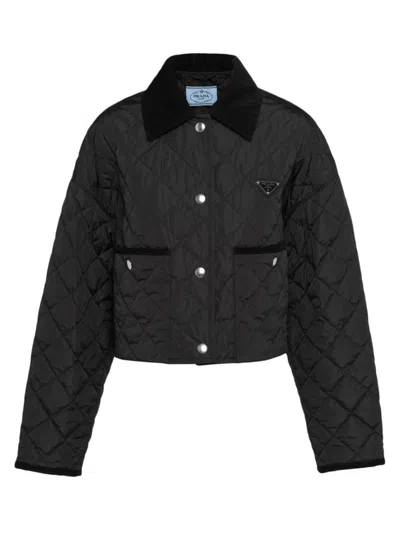 Prada Nylon Collar Cropped Jacket In Black