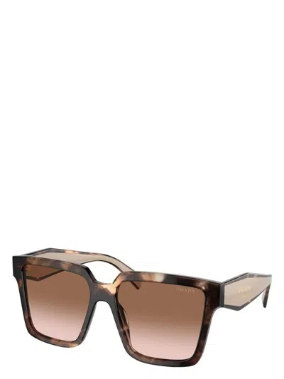 Prada Woman Sunglass Pr 24zsf In Brown Gradient