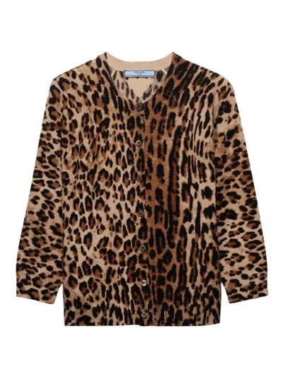 Prada Women's Printed Cashmere Cardigan In Animal Print
