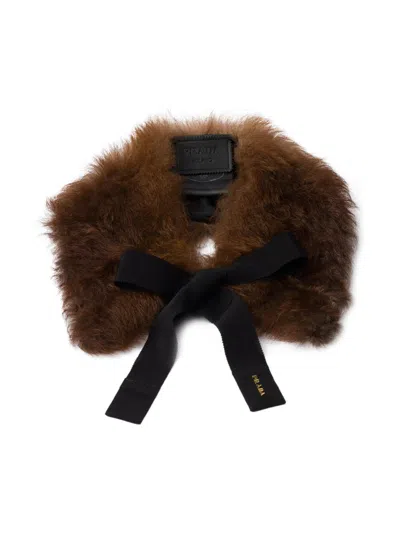Prada Women's Shearling Collar In Brown
