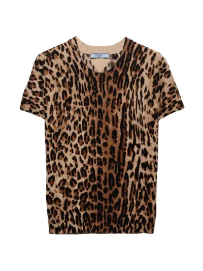 Prada Women's Short-sleeved Printed Cashmere Sweater In Animal Print