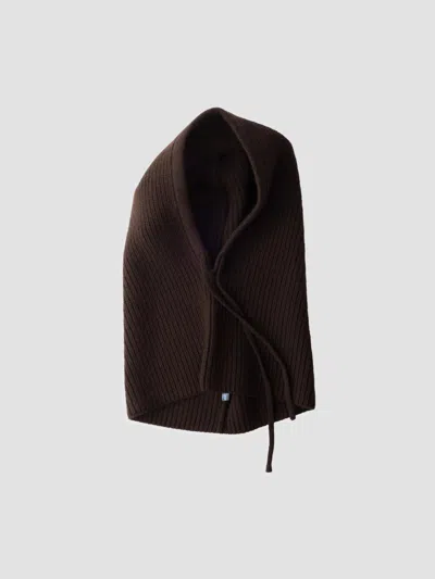 Prada Women's Wool And Cashmere Knit Hood In Brown