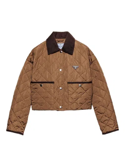 Prada Light Re-nylon Cropped Jacket In Burgundy
