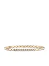 Pragnell 18kt Yellow Gold Bohemia Diamond Bracelet In Gold