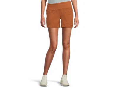 Prana 5 Kanab Shorts In Brown