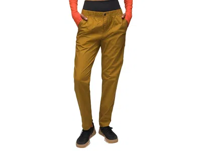 Prana Double Peak All Around Pant In Brown